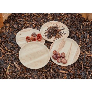 NATURAL WOODEN PLATES (4)