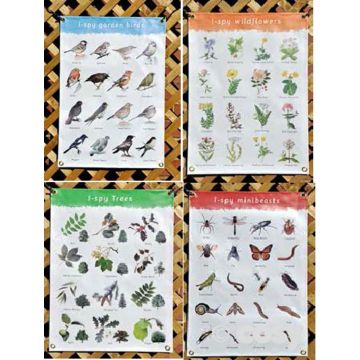 I- SPY POSTER SET (4PK)