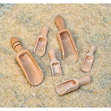 WOODEN SCOOPS (6PK)