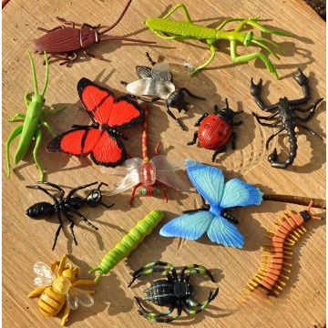 INSECTS (24PK)