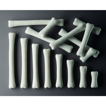 DINOSAUR BONES (16PK)