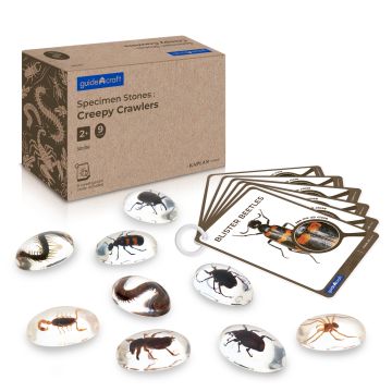 Guidecraft Specimen Stones: Creepy Crawlers
