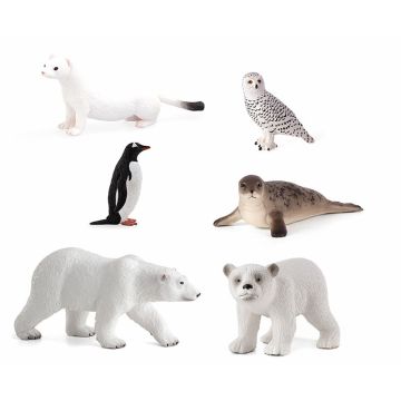 ARCTIC/ANTARTIC SET (6PK)