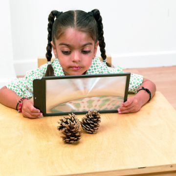 Large Sheet Magnifer