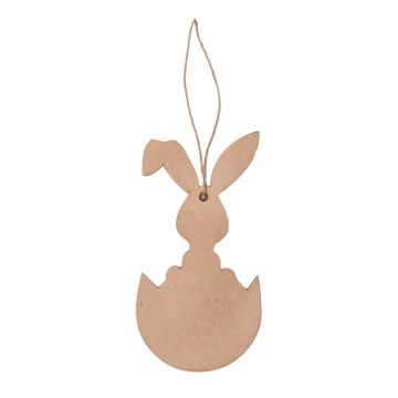 Bunny In The Egg Ornaments - Pack of 6