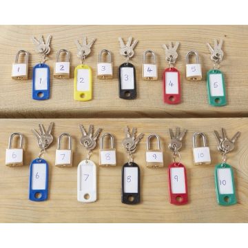 LOCKS AND KEYS (20PK)