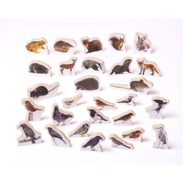 British Wildlife Birds And Animals