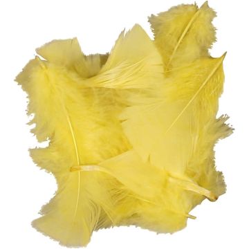 Yellow Down Feathers - 7-8cm - 50g
