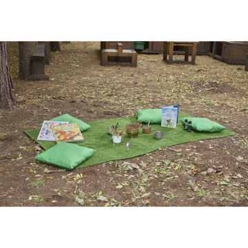 Artificial Grass 2m wide x 1m long