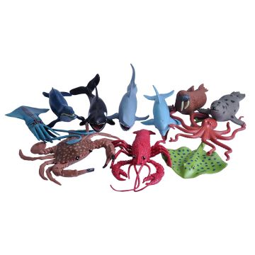 Sea and Ocean Set 11PK