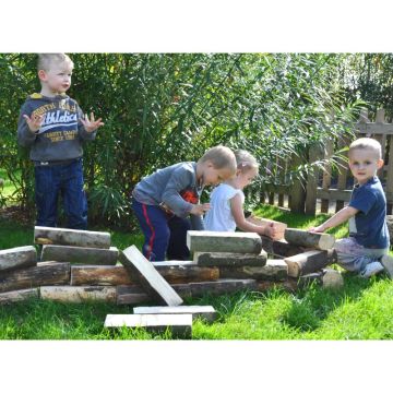 Eco Building Logs Set 20Pk