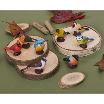 Small World Birds Set