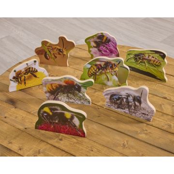 Real Life Large Bees