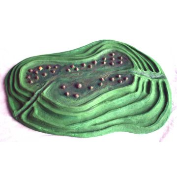 Hill Fort 3D Model