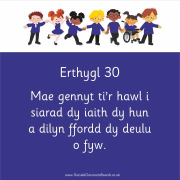 Children's Rights - Article 30 - Indoor and Outdoor Sign - Royal Blue - Welsh