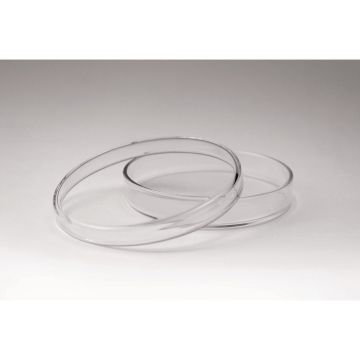 Glass Petri Dishes - 90mm x 15mm - Pack of 10