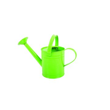 Metal Watering Can