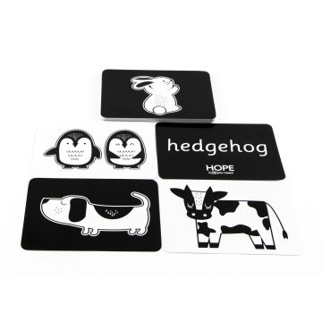 Black and White Sensory Flashcards
