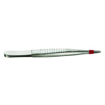 Blunt Forceps - 130mm - Pack of 10