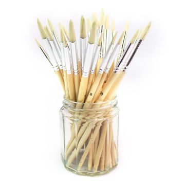 Essential Hog Brush Class Pack of 30