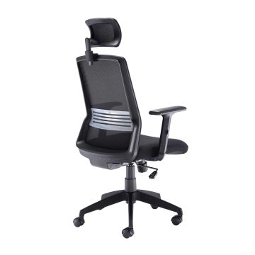 Denali High-Back Office Chair with Headrest