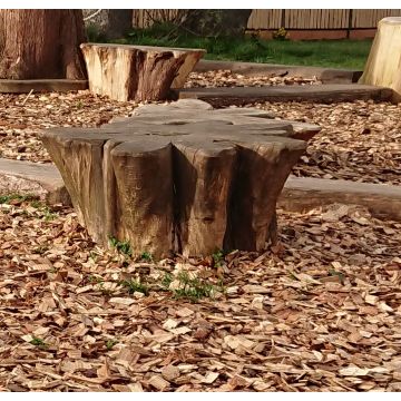Outdoor Classrooms Climbing Stump