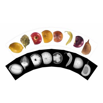 Plant X-Rays and Picture Cards