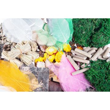 Natural Craft and Collage Materials Pack