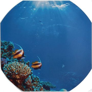 Sealife Play Tray Mat 