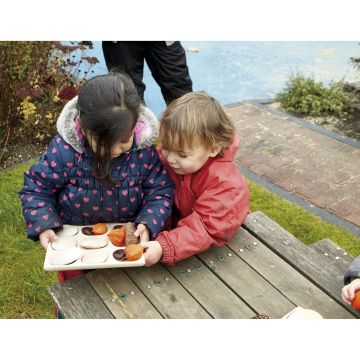 Natural Wood Sorting Tray