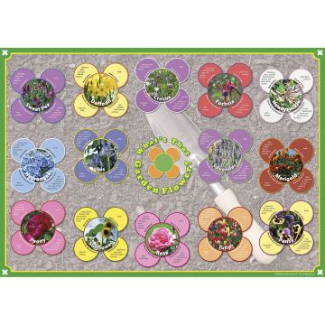 Flowers and Trees - Posters - Pack of 3