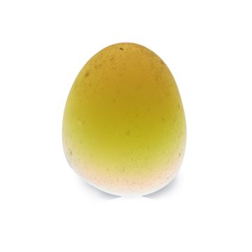 Sunset Egg