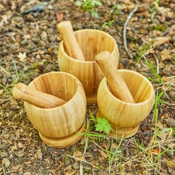 Wooden Pestle & Mortar 