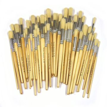 Short Hogs Hair Brushes Asst Round - Pack of 100