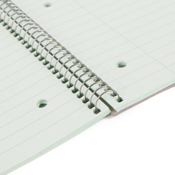 Classmates Tinted Notebook A4 8mm with Margin 4 Hole Punched-Pk 5-Green