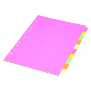 Fluorescent Subject Dividers - 10 Part