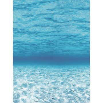 Fadeless Extra Wide Display Paper Roll - 1218mm x 3.6m - Ocean Design