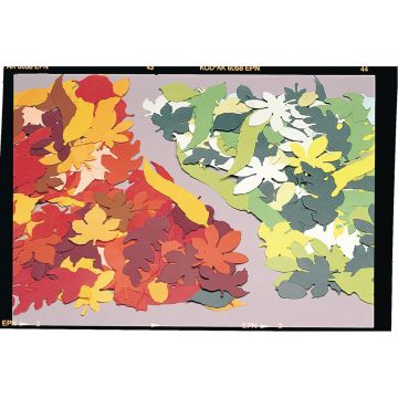 Seasonal Paper Leaves - Pack of 500