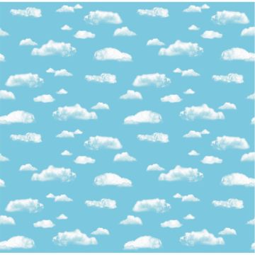 Fadeless Extra Wide Display Paper Roll - 1218mm x 3.6m - Cloud Design