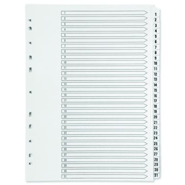 Clear Tabbed Index Dividers - 1-31
