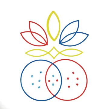 Sorting Rings - Pack of 6