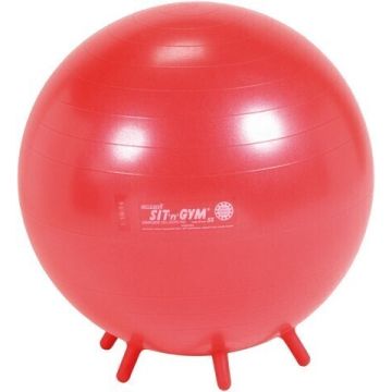 Sit n Gym 55cm