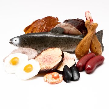 Protein Set -  Pack of 18