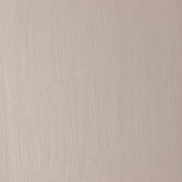 Winsor & Newton Winton Oil Colour Tube - 200ml - Raw Umber