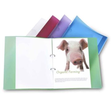 Rapesco Eco A4 Ring Binders Assorted - Pack of 10