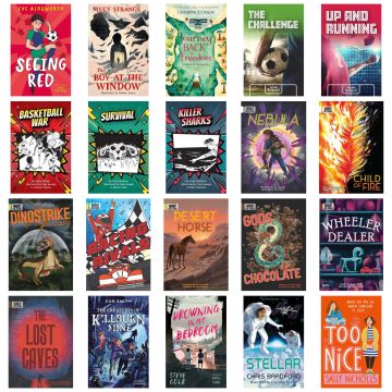 Dyslexia Friendly Books for KS3-Pk 20