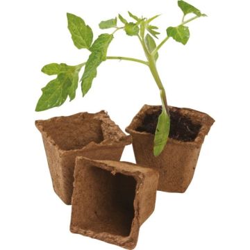 6cm Square Fibre Pots Pack of 20
