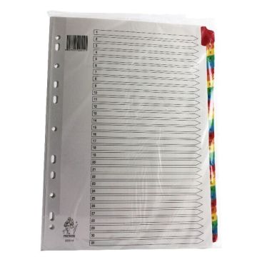 Multi-Colour Tabbed Index Dividers - 1-31